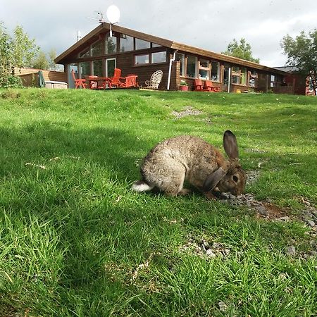 Geysir Hestar Hostel Haukadalur ภายนอก รูปภาพ