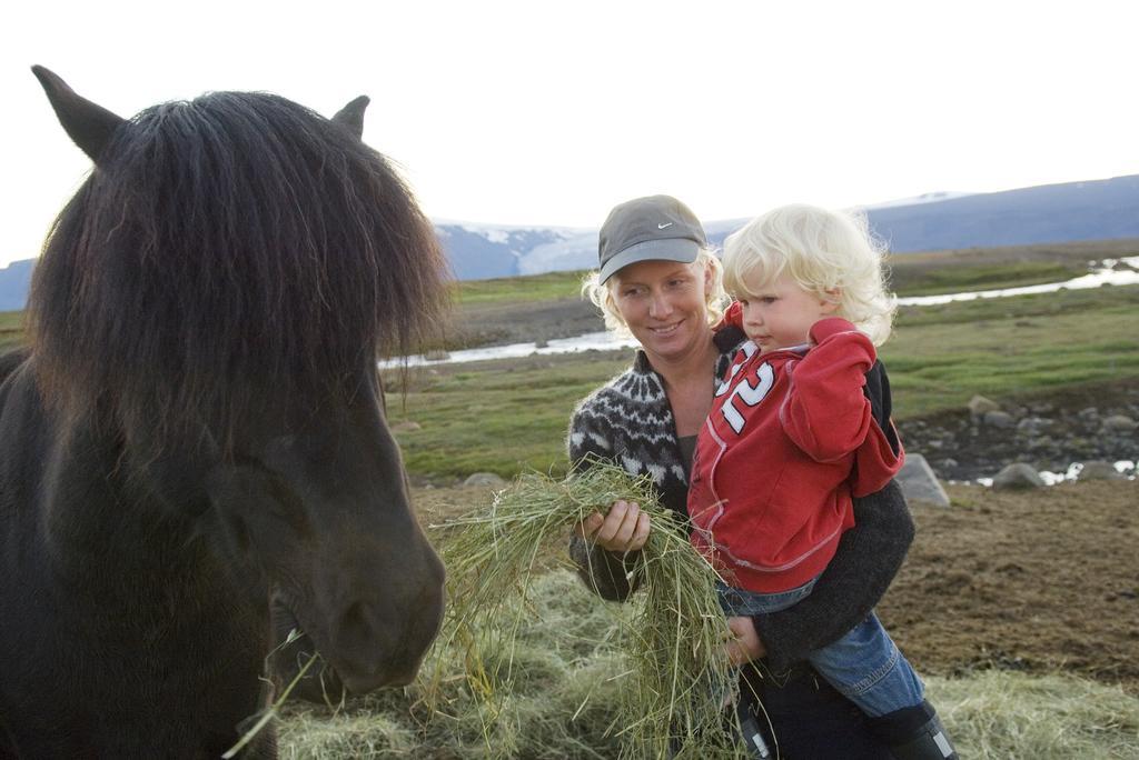Geysir Hestar Hostel Haukadalur ห้อง รูปภาพ