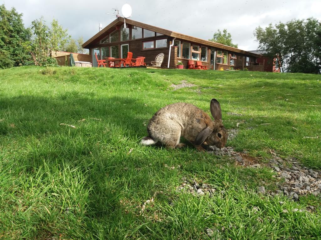Geysir Hestar Hostel Haukadalur ภายนอก รูปภาพ